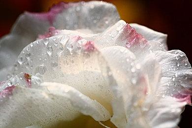 《漫威蜘蛛侠2》Steam在线峰值只有前作的三分之一